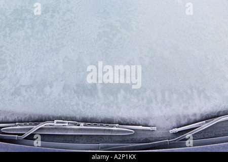 La brina sul parabrezza per auto Foto Stock