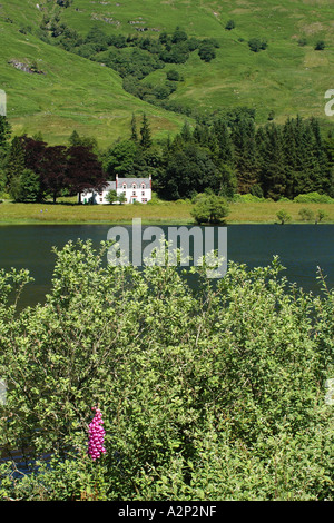 Loch Katrine, Il Trossachs, Scozia in estate. Vi è un solitario casa bianca. Foto Stock