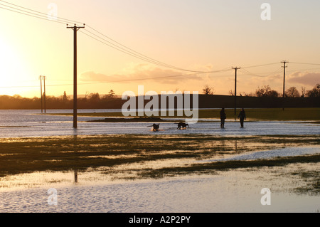 La gente camminare cani nel fiume Severn acqua di inondazione in inverno, Tewkesbury, Gloucestershire, England, Regno Unito Foto Stock