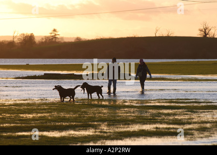 La gente camminare cani nel fiume Severn acqua di inondazione in inverno, Tewkesbury, Gloucestershire, England, Regno Unito Foto Stock