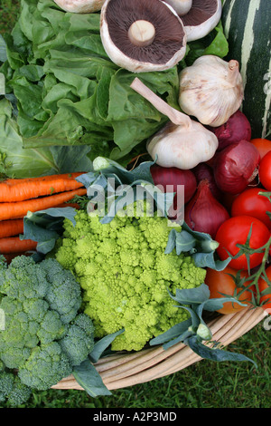 freshly picked vegetables in a straw basket Foto Stock