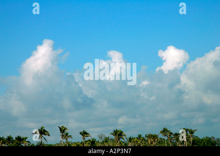 Vista incredibile infinito infinito strada acqua vasto waterfront america americhe spiagge spiaggia costa ambiente diverso Foto Stock