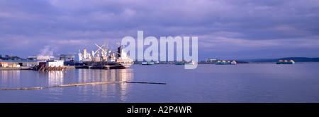 Crofton, Isola di Vancouver, BC, British Columbia, Canada - Cargo e trucioli di legno chiatte caricato ancorata al Pulp & Paper Mill Town Foto Stock