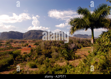 Affacciato Mogotes vicino a Vinales, Cuba Foto Stock