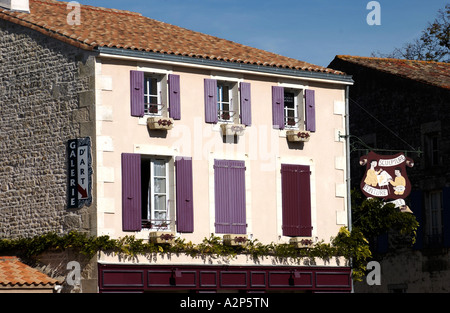 Coulon, Marais Poitevan, Francia Foto Stock