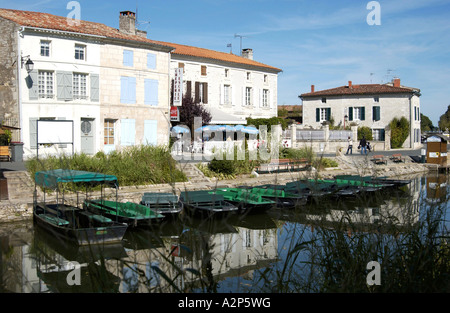 Coulon, Marais Poitevan, Francia Foto Stock