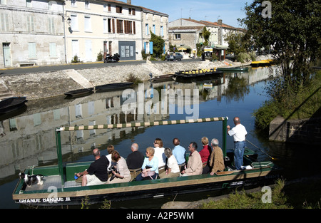 Coulon, Marais Poitevan, Francia Foto Stock