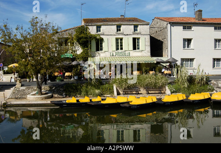 Coulon, Marais Poitevan, Francia Foto Stock