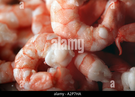 Una chiusura di una manciata di cotto e Gamberi sbucciato Foto Stock