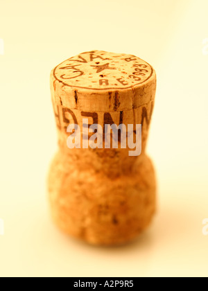 Unico tappo dello champagne il fuoco selettivo Foto Stock