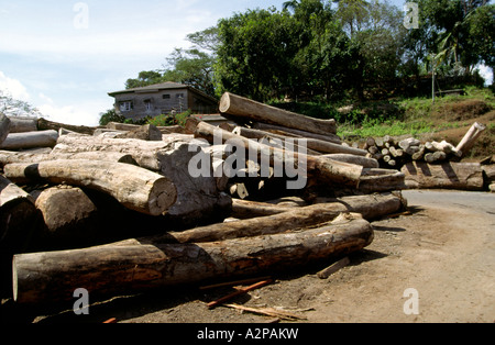 India Andamane del Sud isole di Port Blair Legno Segheria di Chatham log in attesa di elaborazione Foto Stock