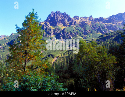 La Polonia Tatra Parco Nazionale Alti Tatra Mt e Rysy Nizne in estate Foto Stock