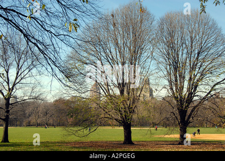 Il lato est ballfields Central Park di New York City in un autunno domenica pomeriggio Foto Stock