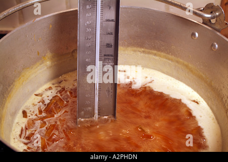 La marmellata di arance ebollizione in una pentola conservando il controllo della temperatura Foto Stock