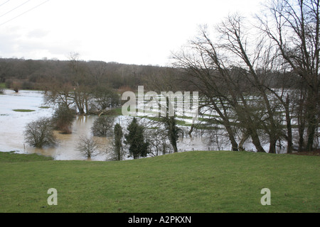 Inondazioni in Oxfordshire campagna. Foto Stock