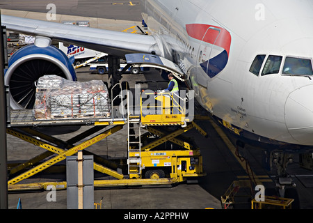 Il caricamento nel vano di carico di un aereo presso il British Airways terminal passeggeri aeroporto di Heathrow Londra Inghilterra REGNO UNITO Foto Stock