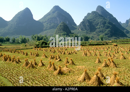 Cina paesaggi di Guangxi Foto Stock