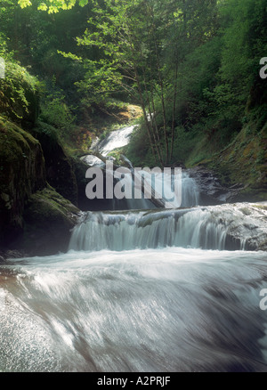 Sguazzare Elk Creek rotolamenti in dolci Creek in western Lane County vicino Mapleton Oregon Foto Stock