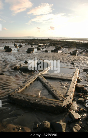 Lavato su pannello in legno sulla riva di Belfast Lough Foto Stock