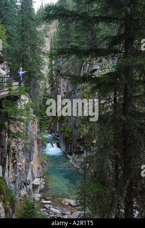 I turisti sulla passerella su Johnston Canyon Creek Foto Stock