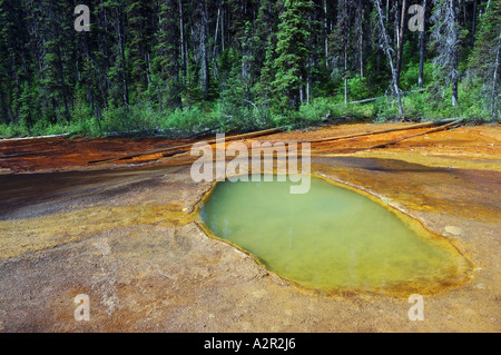 Vernice color ocra pot stagni di fango in primavera nel Parco KootenayNational BC Canada Foto Stock