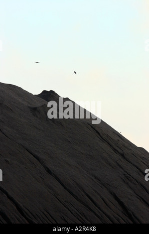 Hanasaari scorte di carbone come si vede da Sörnäisten rantatie, Helsinki, Finlandia Foto Stock