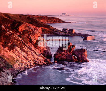 Vista Cove Harbour e punto di Torness, Scottish Borders, Scozia Foto Stock