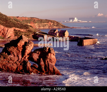 Vista Cove Harbour e punto di Torness, Scottish Borders, Scozia Foto Stock