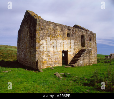 Black Middens Bastle, nr. Gatehouse, Tarset Valley, Northumberland, Inghilterra Foto Stock