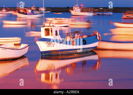 Fisherboats presso il porto di Santa Luzia, Tavira, Algarve, PORTOGALLO Foto Stock