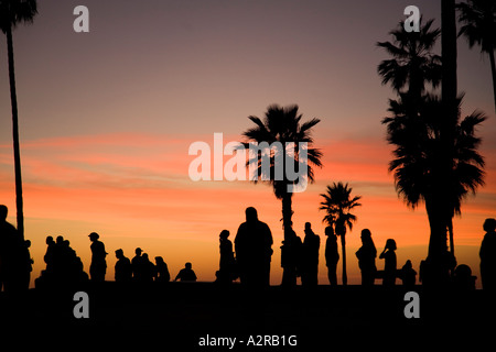 Folle a Venice Beach Los Angeles Los Angeles County in California negli Stati Uniti d'America Foto Stock