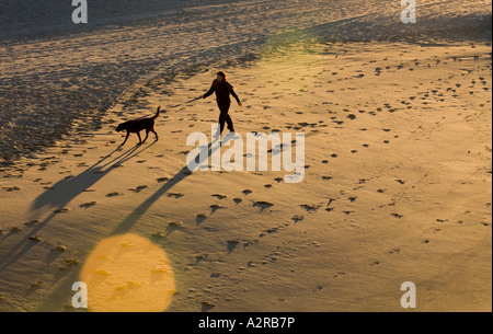 Donna che cammina il suo cane sulla spiaggia di Marina Del Rey Los Angeles County Foto Stock