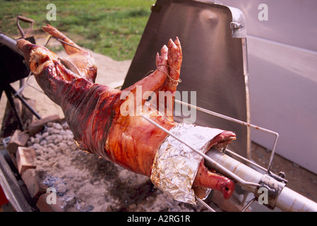 Arrosto di maiale - Hog infilzato su una rotisserie Spit e rotanti e tostatura su un fuoco aperto Pit Foto Stock