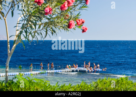 Piattaforma di nuoto subacqueo base HOUSEREEF house reef riff Sharm el Sheikh Egitto Om El Sid Plateau persone i turisti ospiti rosso verde Foto Stock