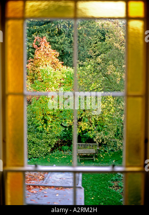 Vista che guarda attraverso una finestra con vetro giallo all'interno fuori della casa georgiana nel giardino posteriore di West London all'inizio dell'autunno a Maida vale KATHY DEWITT Foto Stock