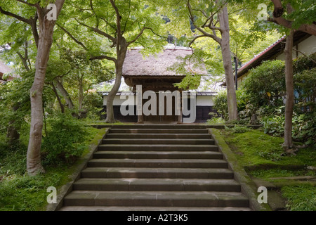 Scala a Engaku-ji in Kita-Kamakura, Giappone Foto Stock