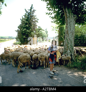 PASTORELLA PASTORELLA PECORA SU UNA STRADA DI CAMPAGNA PROVENZA FRANCIA EUROPA Foto Stock