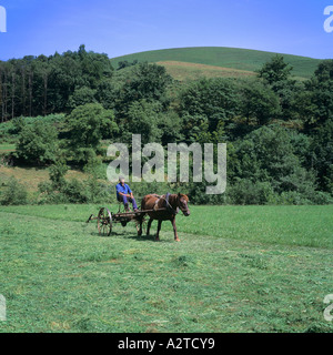 Il contadino di tornitura con fieno A CAVALLO TEDDER paesi baschi Francia Foto Stock