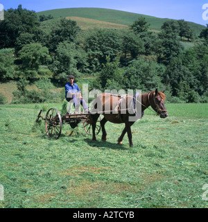 Il contadino di tornitura con fieno A CAVALLO TEDDER paesi baschi Francia Foto Stock