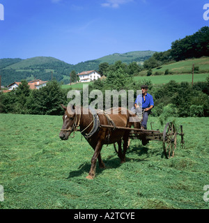 Il contadino di tornitura con fieno A CAVALLO TEDDER PIRENEI ATLANTIQUES paesi baschi Francia Europa Foto Stock