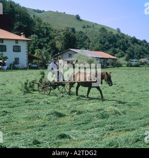 Il contadino di tornitura con fieno A CAVALLO TEDDER paesi baschi Francia Foto Stock