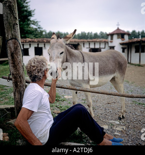 L uomo come accarezzare un asino nella parte anteriore di un cavallo stabile paese basco FRANCIA Foto Stock