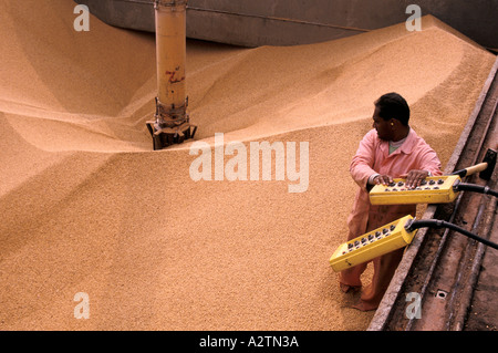 Semi di soia semi di impianto di trasformazione rotterdam olanda 1990 Foto Stock