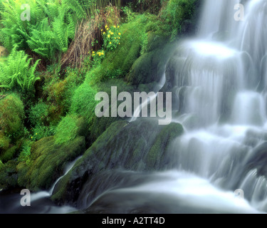 GB - Scozia: cascata sul Ben Dearg sull'Isola di Skye Foto Stock