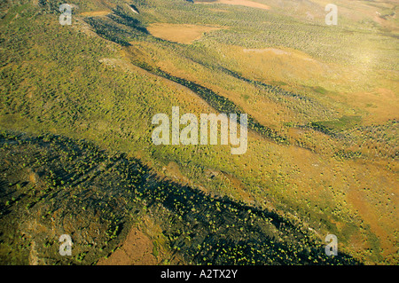 Vista aerea della caldera del Monte Elgon, Kenya, Africa orientale Foto Stock