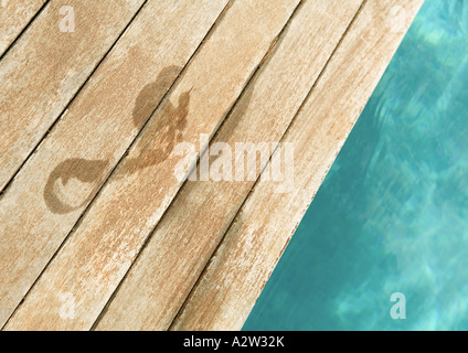 Footprint bagnato dal bordo della piscina Foto Stock