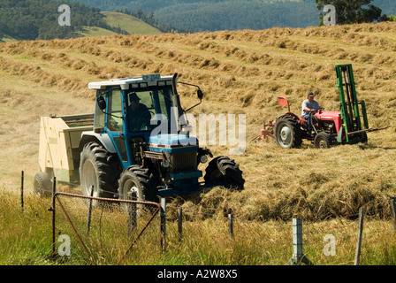 La falciatura di fieno nella Valle di Huon Tasmania Foto Stock