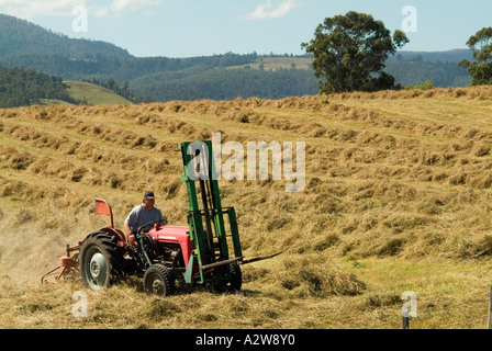 La falciatura di fieno nella Valle di Huon Tasmania Foto Stock