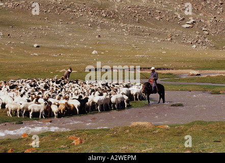 Pecora di lavaggio della Mongolia Foto Stock