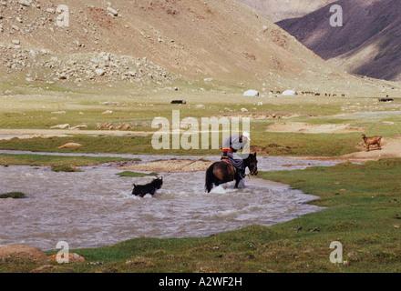 Pecora di lavaggio della Mongolia Foto Stock